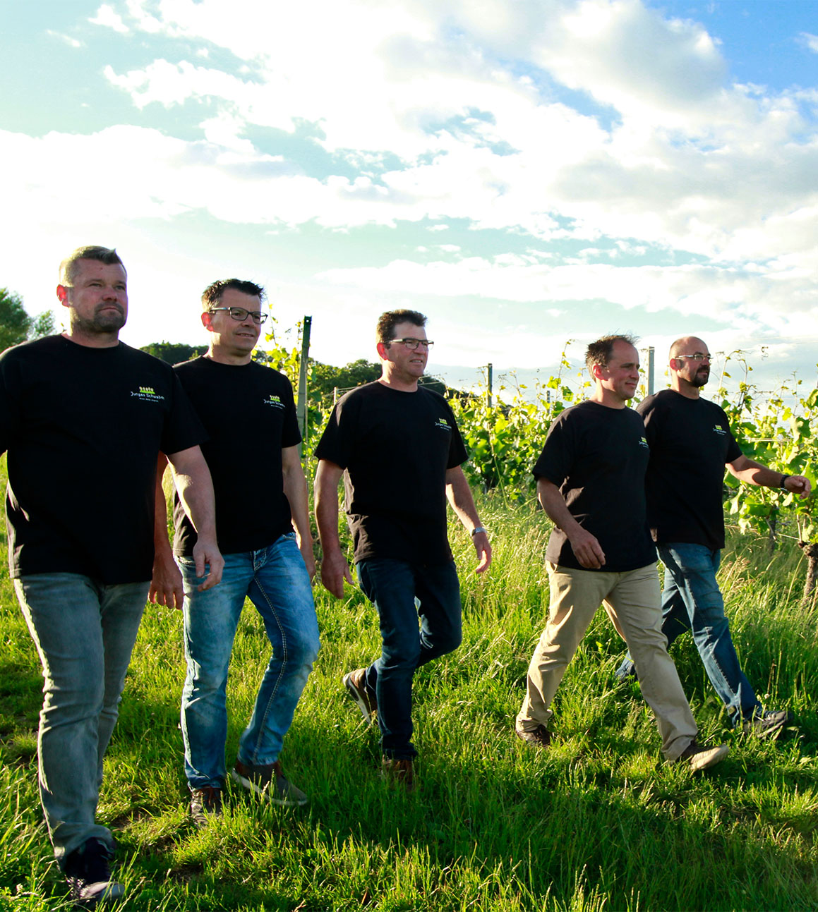 Fünf Winzer von Junges Schwaben auf dem Weinberg